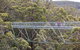 Walpole Wilderness Discovery Centre - thumb 1