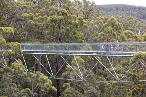 Walpole Wilderness Discovery Centre - Accommodation Coffs Harbour 1