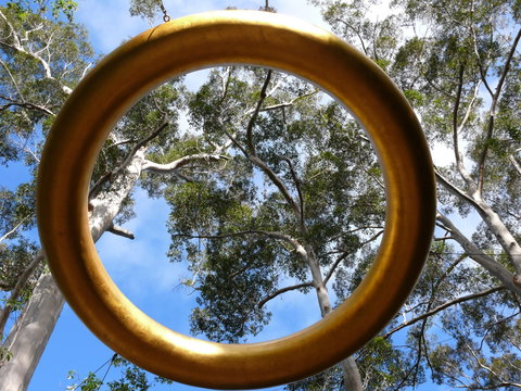 Walpole Wilderness Discovery Centre - Accommodation Coffs Harbour 2