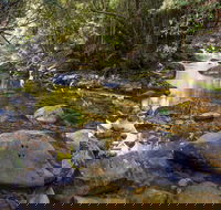 Washpool Walking Track - Accommodation Coffs Harbour