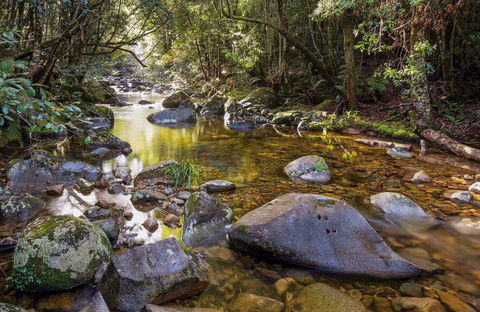 Washpool Walking Track - Accommodation Coffs Harbour 0