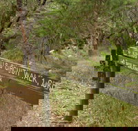 Waterfall Gully - Kings Falls Circuit Walk - Accommodation Coffs Harbour