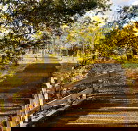 Windmill Walk - Accommodation Coffs Harbour