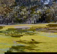Wombeyan picnic area - Accommodation Coffs Harbour