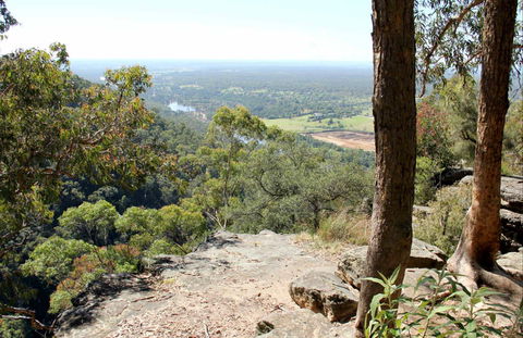 Yellow Rock Lookout - Accommodation Coffs Harbour 0