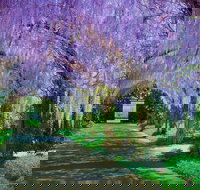 Alowyn Gardens and Nursery - Accommodation Coffs Harbour