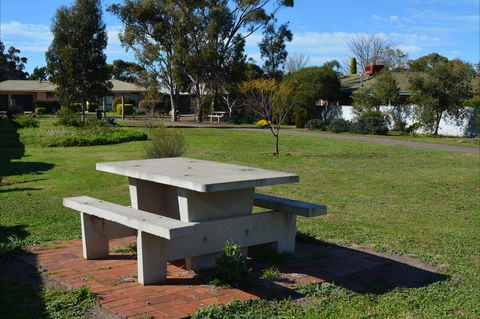 Apex Park & Picnic Area - Accommodation Coffs Harbour 1