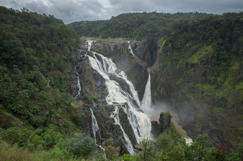 Barron Falls Lookout Track, Barron Gorge National Park - Accommodation Coffs Harbour 0
