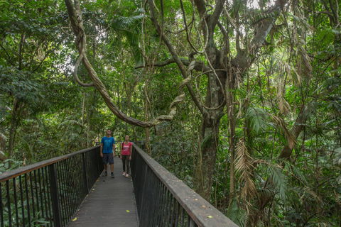 Barron Falls Lookout Track, Barron Gorge National Park - Accommodation Coffs Harbour 2