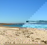 Berrara - Accommodation Coffs Harbour