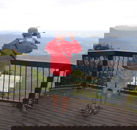 Best of All lookout track Springbrook National Park - Accommodation Coffs Harbour