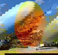 Big Mango - Accommodation Coffs Harbour