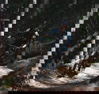 Boomerang Farm Bike Park - Accommodation Coffs Harbour