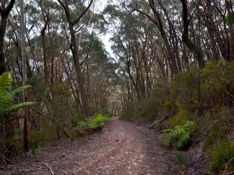 Budawang National Park - Accommodation Coffs Harbour 1