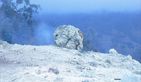 Burning Mountain Nature Reserve - Accommodation Coffs Harbour 1