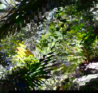 Byrrill Creek Walking Track - Accommodation Coffs Harbour