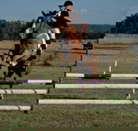 Camden Bicentennial Equestrian Park - Accommodation Coffs Harbour