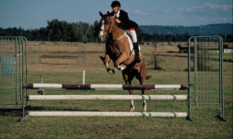 Camden Bicentennial Equestrian Park - Accommodation Coffs Harbour 0