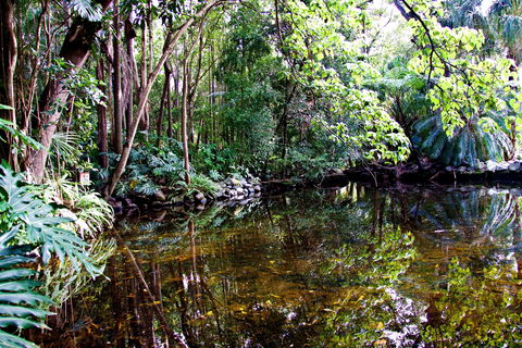 Cascade Gardens - Accommodation Coffs Harbour 2