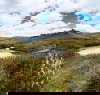 Cascade Hut trail - Accommodation Coffs Harbour