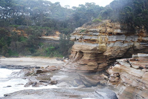 Cookies Beach Picnic Area - South Durras - Accommodation Coffs Harbour 2