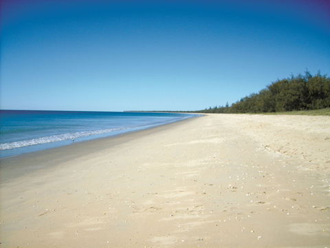 Coral Coast Pathways (Woodgate Beach Section) - Accommodation Coffs Harbour 0