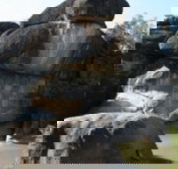 Cranky Rock Nature Reserve - Accommodation Coffs Harbour