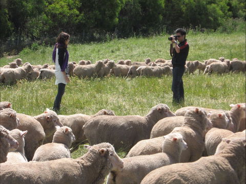 Curringa Farm - Accommodation And Farm Tours - Accommodation Coffs Harbour 1