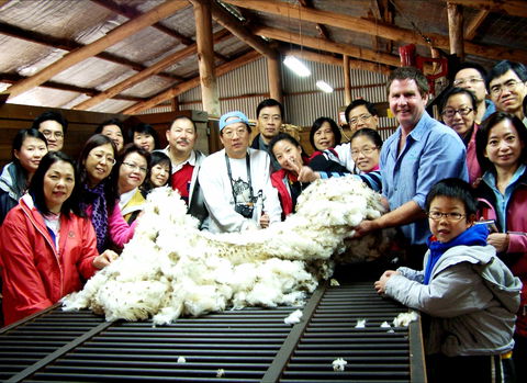 Curringa Farm - Accommodation And Farm Tours - Accommodation Coffs Harbour 2