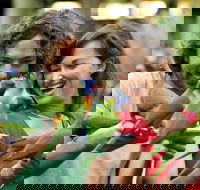 Currumbin Wildlife Sanctuary - Accommodation Coffs Harbour