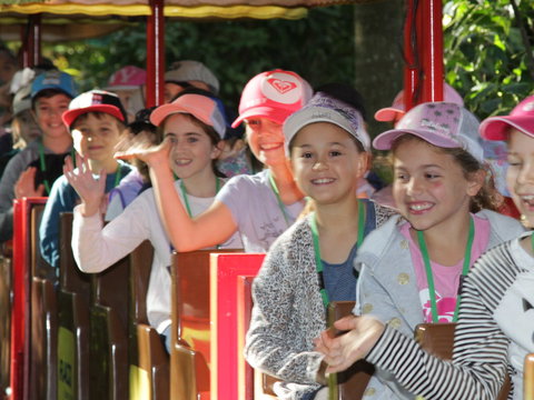 Currumbin Wildlife Sanctuary - Accommodation Coffs Harbour 1