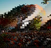 Deckchair Cinema - Accommodation Coffs Harbour