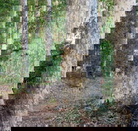 Delta Track - Accommodation Coffs Harbour