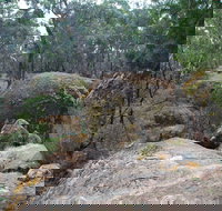 Dergholm State Park - Accommodation Coffs Harbour