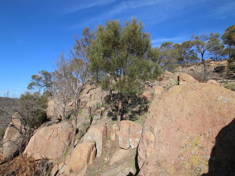 Eldorado And The Woolshed Valley - Accommodation Coffs Harbour 2