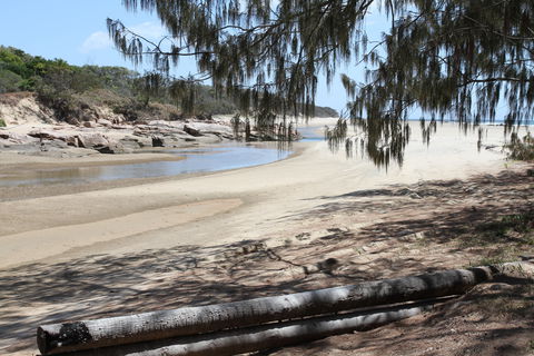 Eurimbula National Park - Accommodation Coffs Harbour 2