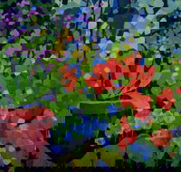 Ferry Artists Gallery - Accommodation Coffs Harbour