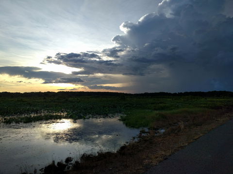 Fogg Dam Conservation Reserve - Accommodation Coffs Harbour 2