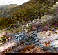 Gibraltar Range National Park - Accommodation Coffs Harbour