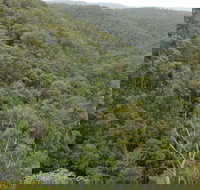 Granite Falls walking track - Accommodation Coffs Harbour