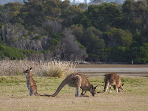 Great Nature Trail - Accommodation Coffs Harbour 0