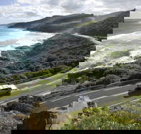 Great Ocean Road - Accommodation Coffs Harbour