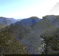 Guy Fawkes River National Park - Accommodation Coffs Harbour