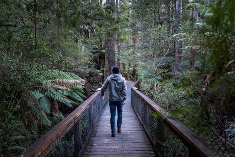 Hastings Caves And Thermal Springs - Accommodation Coffs Harbour 1