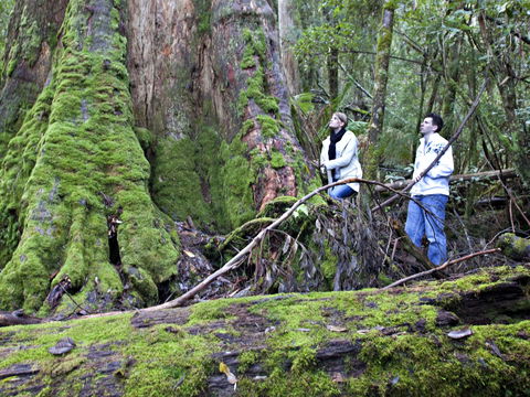 Hastings Caves And Thermal Springs - Accommodation Coffs Harbour 2