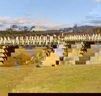Historic Tabulam DeBurgh Timber Bridge - Accommodation Coffs Harbour