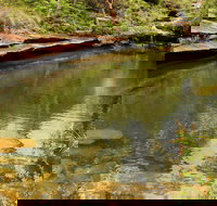 Hominy Creek Walking Track - Accommodation Coffs Harbour