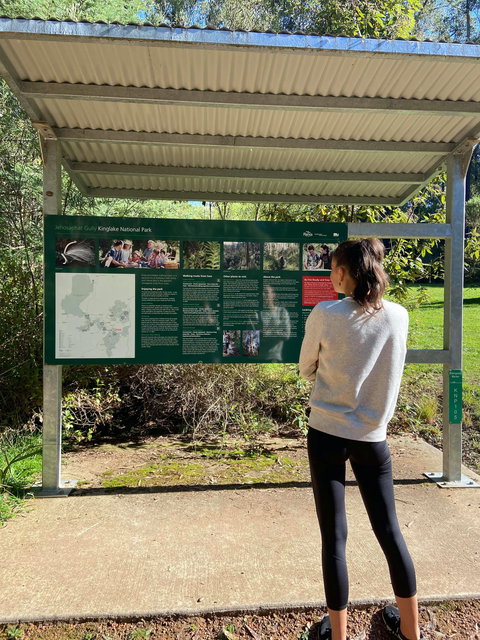 Jehosaphat Gully Picnic Area - Accommodation Coffs Harbour 0