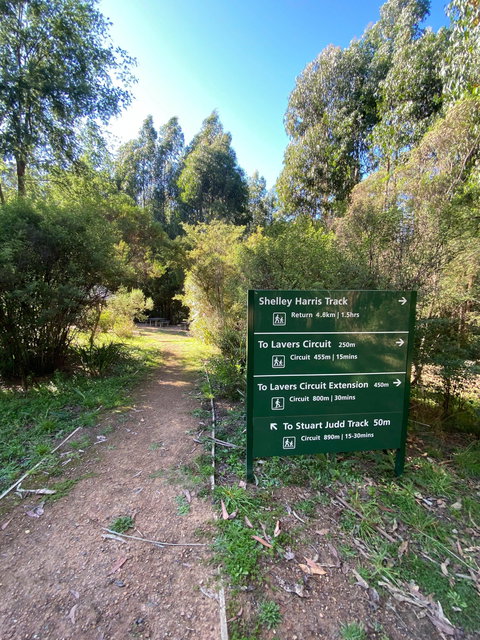 Jehosaphat Gully Picnic Area - Accommodation Coffs Harbour 2