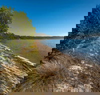 Jewfish Walk - Accommodation Coffs Harbour